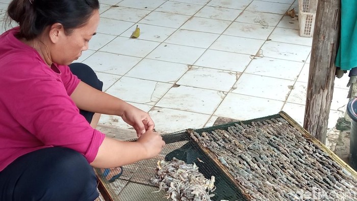 1749985572602-produksi-cicak-kering-di-kabupaten-cirebon-1749902041535_169
