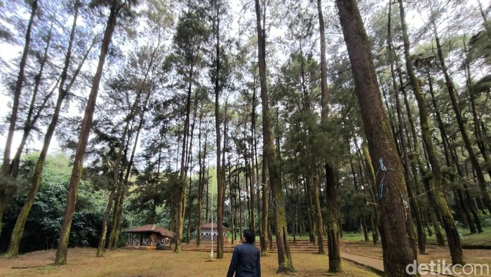 1751627200930-wisata-kuningan-1751183783049_169