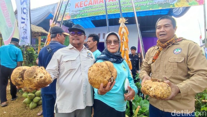 1751994404837-hari-krida-pertanian-hkp-di-kabupaten-ciamis-1751964483738_169