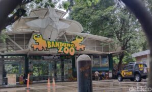 1757352518108-suasana-bandung-zoo-terkini-setelah-penutupan-1754971402974_169