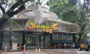 1759426571363-suasana-bandung-zoo-terkini-setelah-penutupan-1754971402922_169
