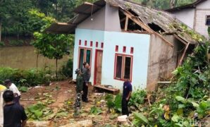 1759469297052-petugas-bpbd-ciamis-melakukan-asesmen-rumah-yang-rusak-tertimpa-pohon-tumbang-setelah-diterjang-angin-kencang-1759455736676_169