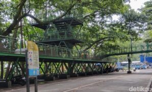 1759512396284-hutan-kota-babakan-siliwangi-1759475714402_169