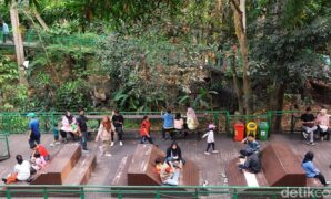 1759555827903-suasana-pagi-di-taman-babakan-siliwangi-kota-bandung_169