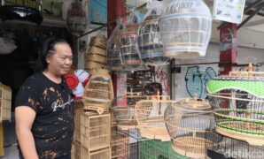 1759619752426-deni-murai-saat-berjualan-burung-hias-di-kuningan-1759568024705_169
