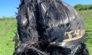 1759684884623-sampah-antariksa-1759490617009_43