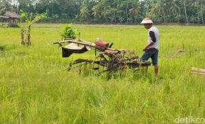 1759772122783-petani-yang-sedang-mengoperasikan-traktor-1759728615806_169