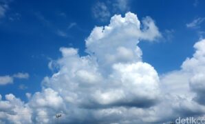 1759878994961-85e5f03f-5cf6-41bf-9484-74b7ee7ca02d_169