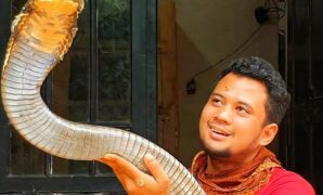 1759901239828-panji-petualang-dan-ular-peliharaannya-1759887146405_43