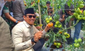 1759923139536-wakil-menteri-pertanian-wamentan-sudaryono-saat-melakukan-peninjauan-ke-area-perkebunan-di-kecamatan-rancabali-kabupaten-bandu-1759908209271_169