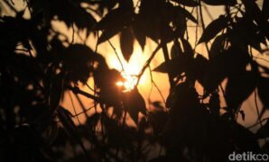 1760397485300-a31eafeb-ced2-4b27-a2fc-84447f171d8f_169