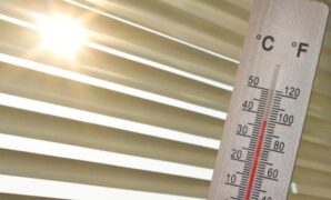 1760527883242-d8f9c20a-e206-4de5-89bf-473fc205fb32_169