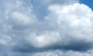 1760743146227-48be1663-d918-4ee4-aeb6-27d38b831e9c_169