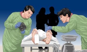 1761110792412-ilustrasi-autopsi-ulang_169