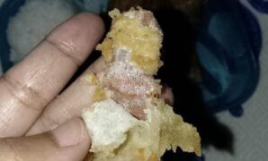 1761110840483-temuan-plester-di-tahu-goreng-menu-mbg-di-sukabumi-1761030934239_169