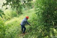 1761542794962-warga-menunjukkan-lokasi-abg-kbb-ditemukan-tak-sadarkan-diri-dan-nyaris-bugil-1761032246057_169