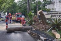 1761564472297-pohon-tumbang-di-jalan-surapati-kota-bandung-1761552950964_169