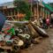 1761651069629-banjir-cisolok-sukabumi-1761638880784_169