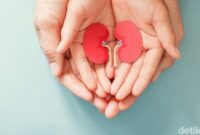 1761672325510-gagal-ginjal-akut-pada-anak_169