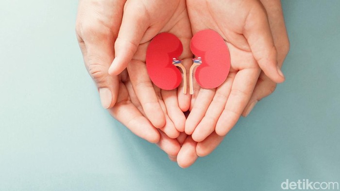 1761672325510-gagal-ginjal-akut-pada-anak_169