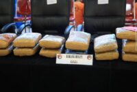 1761672531634-pemkab-bogor-1761653672815_169