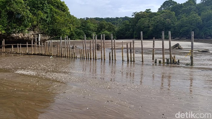 1761715783286-kondisi-pagar-laut-cagar-alam-pangandaran-dan-rusa-yang-berada-diluar-kawasan-twa-1761638000350_169