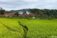 1761715955360-suasana-desa-wisata-cibuntu-kuningan-1761542328736_169