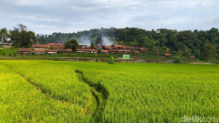 1761715955360-suasana-desa-wisata-cibuntu-kuningan-1761542328736_169