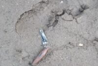 1761737302145-penampakan-pisau-dapur-yang-digunakan-es-menikam-dani-temannya-sendiripenampakan-pisau-dapur-yang-digunakan-es-menikam-dani-te-1761731447560_169