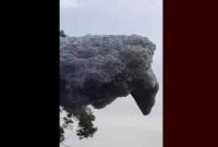 1761802215667-gumpalan-hitam-yang-terbang-di-langit-subang-1761738875770_169