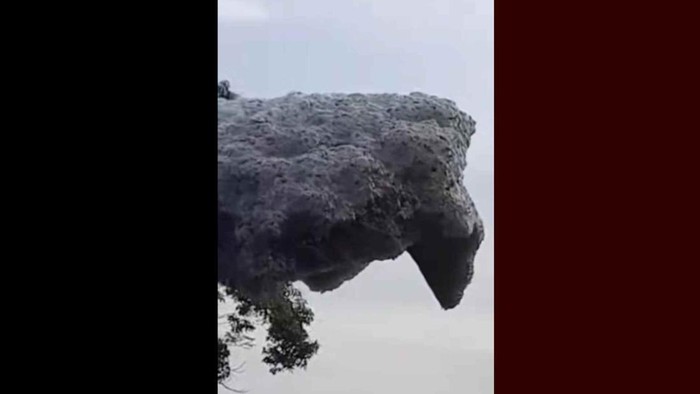 1761802324508-gumpalan-hitam-yang-terbang-di-langit-subang-1761738875770_169