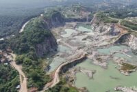 1761910066601-parung-panjang-tanpa-tambang-luka-ekonomi-obat-lingkungan-1761399588738_169