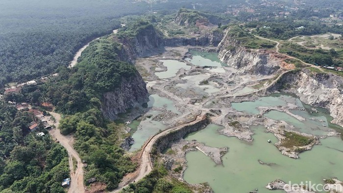 1761910066601-parung-panjang-tanpa-tambang-luka-ekonomi-obat-lingkungan-1761399588738_169