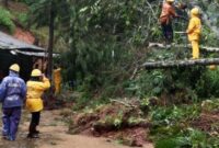 1761931762674-longsor-di-jalur-selatan-garut-1761914174563_169