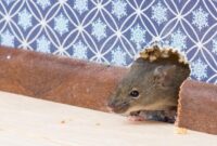 1761974574867-526538639_169