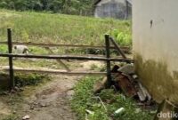 1762190838986-akses-jalan-keluarga-korban-pencabulan-dihalangi-pagar-dan-dirusak-1762180024111_169