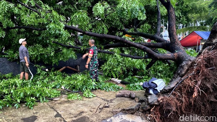 1762255606503-pohon-tumbang-di-bandung-1762254065781_169