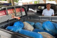 1762298214813-barang-bukti-yang-digunakan-pelaku-untuk-mencuri-ikan-di-waduk-darma-1762249644822_169