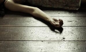 1762342139432-ilustrasi_169