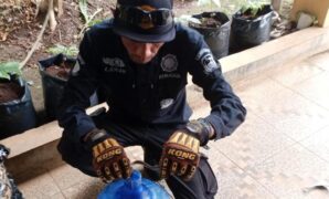 1762428593973-proses-evakuasi-ular-di-kuningan-1762419548669_169