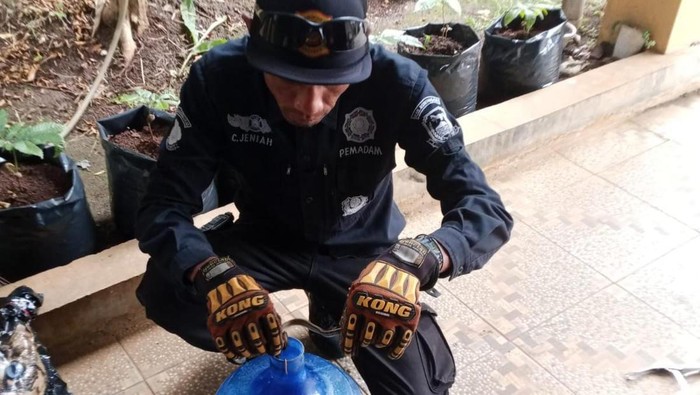 1762428593973-proses-evakuasi-ular-di-kuningan-1762419548669_169