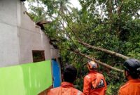 1762449921839-dok-bpbd-ciamis-petugas-bpbd-ciamis-melakukan-penanganan-bencana-akibat-angin-kencang-di-kecamatan-sindangkasih-kabupaten-ciam-1762389964793_169