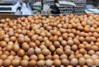 1762450057625-ilustrasi-harga-pangan-di-palembang_169