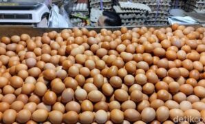 1762450057625-ilustrasi-harga-pangan-di-palembang_169