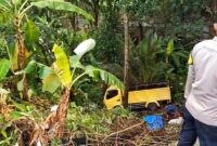 1762450166897-truk-terjun-ke-jurang-korban-selamat-1762428486910_169