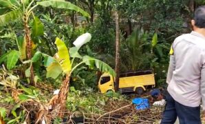 1762450166897-truk-terjun-ke-jurang-korban-selamat-1762428486910_169