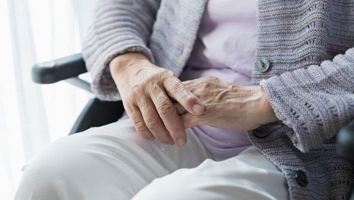 1762557421399-ilustrasi-lansia-1745832803695_169