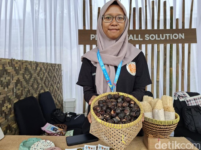 1762601000409-buah-lerak-yang-kaya-manfaat-1762598620196_43