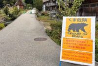 1762709093102-beruang-di-jepang-1761915444944_169