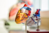 1762709114438-ilustrasi-sakit-jantung-koroner_169